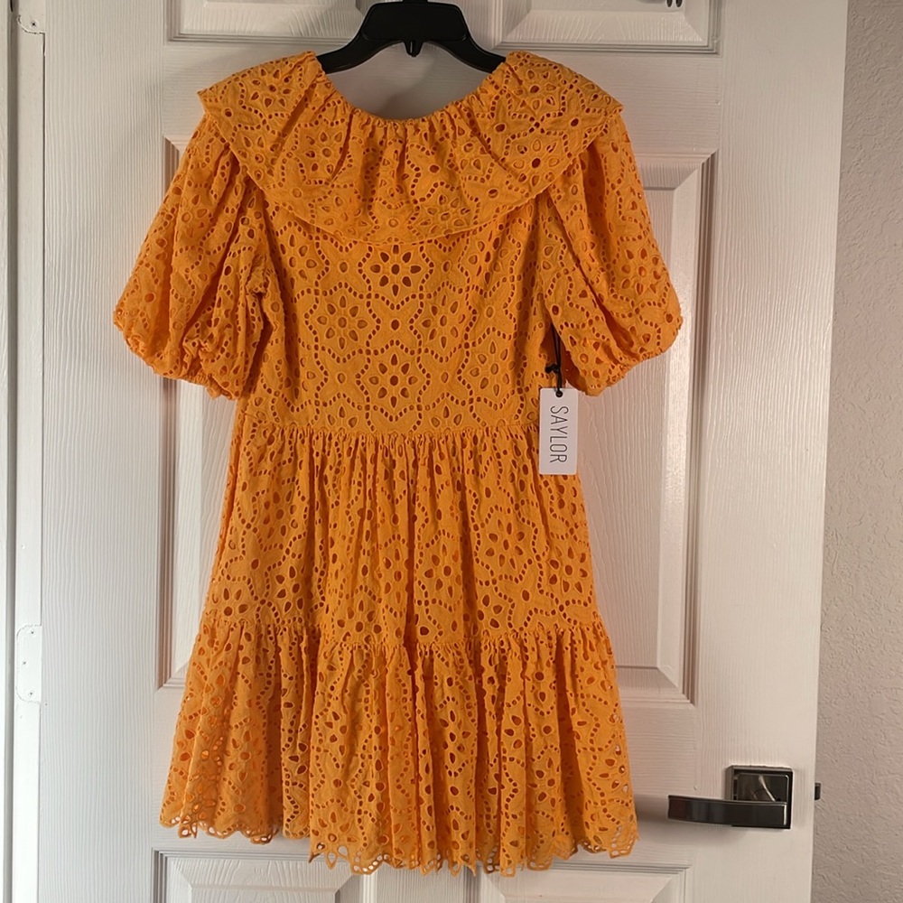 NWT Saylor Zerina lace short sleeve ruffle mini Dress - Picture 4 of 8